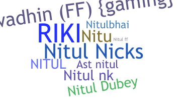 Нік - Nitul