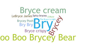 Нік - Bryce