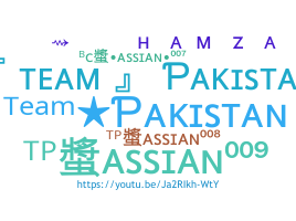 Нік - TeamPakistan
