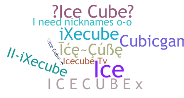 Нік - icecube