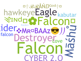 Нік - Falcons