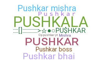 Нік - Pushkar