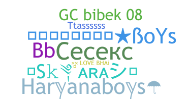 Нік - Haryanaboys